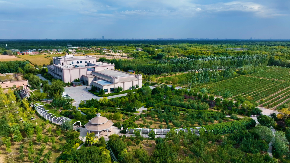 The unique characteristics of Ningxia’s terroir