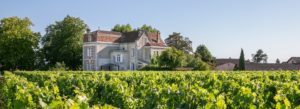 domaine du château cantenac Saint-Emilion