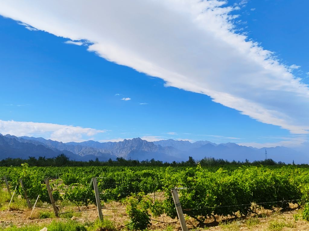 Ningxia, Brilliant and unique